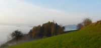 81 der gallner wird als insel aus dem nebelmeer ragen - ft
